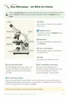 Vorschau - Arbeitsblätter - Zelle und Mikroskop – Biologie Kl. 5/6 - Seite 2
