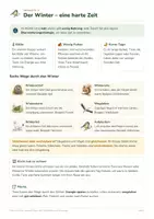 Vorschau - Arbeitsblätter - Tiere im Winter – Biologie Kl. 5/6 - Seite 2