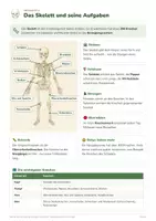 Vorschau - Arbeitsblätter - Biologie Klasse 5/6 – 13 Themenhefte mit Lösungen (Paket) - Seite 3