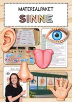 Vorschau - Unterrichtsreihen - Materialpaket: Unsere Sinne – Unterrichtsreihe, UB-Stunde und Material - Deckblatt
