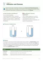 Vorschau - Arbeitsblätter - Biomembran und Stofftransport – Oberstufe - Seite 3