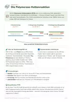 Vorschau - Arbeitsblätter - Gentechnik: PCR, CRISPR – Biologie Oberstufe - Seite 3