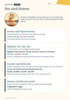 Vorschau - Arbeitsblätter - Nomen Klasse 2: Artikel, Mehrzahl, Großschreibung üben, mit Lösungen - Seite 3