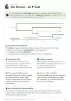 Vorschau - Arbeitsblätter - Evolution des Menschen – Biologie Oberstufe - Seite 2