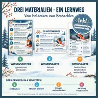 Vorschau - Arbeitsblätter - Wintersonnenwende entdecken – Lernumgebung Sachunterricht - Seite 1