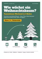 Vorschau - Arbeitsblätter - Weihnachten Grundschule | Paket: Sachunterricht, Mathe, 3 Stufen - Seite 1