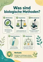 Vorschau - Arbeitsblätter - Methoden der Biologie: Modelle, Mikroskopie, Experimente und Bestimmen - Seite 2