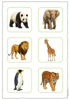 Vorschau - Arbeitsblätter - Tiere zuordnen - Klettspiel mit Bild, Schatten & Wort | Anfangsunterricht | Lesen | 3-fach differenziert - Seite 3