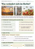 Vorschau - Arbeitsblätter - Tiere im Herbst Biologie Klasse 5 6 - Seite 3