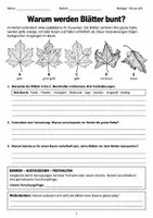 Vorschau - Arbeitsblätter - Herbst Blattverfärbung Biologie Klasse 5 6 - Seite 1