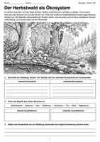 Vorschau - Arbeitsblätter - Wald im Herbst Biologie Klasse 5 6 - Seite 1