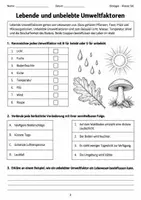 Vorschau - Arbeitsblätter - Wald im Herbst Biologie Klasse 5 6 - Seite 2