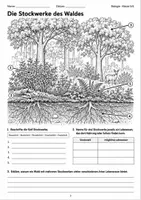 Vorschau - Arbeitsblätter - Wald im Herbst Biologie Klasse 5 6 - Seite 3