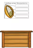 Vorschau - Arbeitsblätter - Getreide - Flipbook mit Lösungen - Seite 3