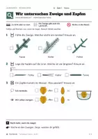 Vorschau - Arbeitsblätter - Tannenbaum-Station gratis | 3 Stufen, Klasse 1–4, Förderschule - Seite 3