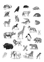 Vorschau - Arbeitsblätter - ABC der Tiere - Seite 2