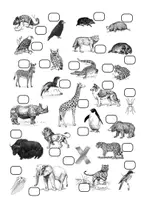 Vorschau - Arbeitsblätter - ABC der Tiere - Seite 3