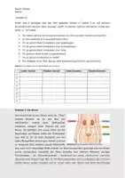 Vorschau - Klassenarbeiten - Klassenarbeit Blut und Blutkreislauf - Kompetenzorientierung: Die Niere - Seite 1