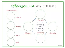 Vorschau - Arbeitsblätter - Pflanzen und Wachsen Arbeitsblatt für Kinder - Seite 1