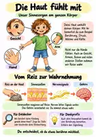 Vorschau - Arbeitsblätter - Das Fühlmuseum - Sinne und Tasten | Sachunterricht / Kunst / Biologie | Klasse 2–5 - Seite 3