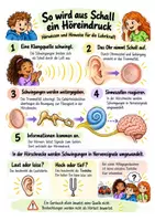 Vorschau - Arbeitsblätter - Das verschwundene Pausengeräusch - Sinne und Hören | Sachunterricht / Musik / Biologie | Klasse 2–5 - Seite 2