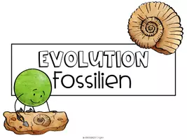 Vorschau - Stundenentwürfe - Evolution - Einführung Fossilien - Seite 1