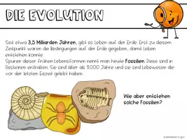 Vorschau - Stundenentwürfe - Evolution - Einführung Fossilien - Seite 2