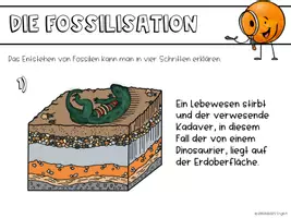 Vorschau - Stundenentwürfe - Evolution - Einführung Fossilien - Seite 3