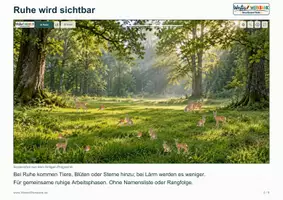 Vorschau - Spiele - 🌿 Ruhewelten – Smartboard-Tool mit Lautstärkeanzeige, 13 Naturmotiven & Timer - Seite 1