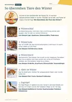 Vorschau - Arbeitsblätter - Tiere im Winter Klasse 3: Sachtexte, Diagramm, Vogelzug, mit Lösungen - Seite 3