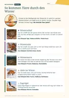 Vorschau - Arbeitsblätter - Tiere im Winter Klasse 2 kostenlos: Igel, Spuren, Merkblatt (Probe) - Seite 3