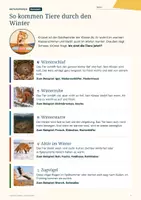 Vorschau - Arbeitsblätter - Tiere im Winter Klasse 2: Sachtexte, Winterschlaf, Tierspuren, mit Lösungen - Seite 3