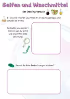 Vorschau - Arbeitsblätter - Seifen & Waschmittel: Experimente, Arbeitsblätter & Erklärbilder (Klasse 7-10) - Seite 2