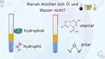 Vorschau - Arbeitsblätter - Seifen & Waschmittel: Experimente, Arbeitsblätter & Erklärbilder (Klasse 7-10) - Seite 3
