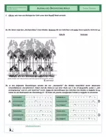 Vorschau - Arbeitsblätter - Ökologie - Aufbau des Ökosystems Wald - Seite 2