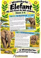 Vorschau - Bildkarten - Elefant - Wissenskartei - Tiere - Deckblatt