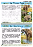 Vorschau - Bildkarten - Elefant - Wissenskartei - Tiere - Seite 1