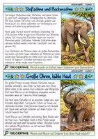 Vorschau - Bildkarten - Elefant - Wissenskartei - Tiere - Seite 2