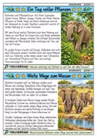 Vorschau - Bildkarten - Elefant - Wissenskartei - Tiere - Seite 3