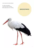 Vorschau - Arbeitsblätter - Zugvögel im Herbst – Arbeitsblätter & Bildkarten - Seite 2