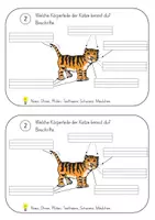 Vorschau - Arbeitsblätter - Katzen-Quiz - Seite 3