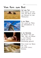 Vorschau - Arbeitsblätter - AB Vom Korn zum Brot - interaktives Arbeitsblatt - Seite 2