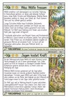 Vorschau - Mal- und Bastelvorlagen - Wolf MEGABUNDLE - Wissenskartei, Lückentext, Steckbrief, Suchsel, POP Art Malvorlagen, Quizkarten - Seite 3