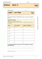Vorschau - Arbeitsblätter - Die ie-Lichterkette – Halloween | Deutsch | Klasse 3 - Seite 2