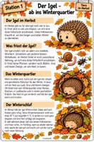 Vorschau - Arbeitsblätter - Unterrichtseinheit Tiere im Herbst - Seite 2