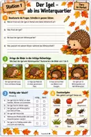 Vorschau - Arbeitsblätter - Unterrichtseinheit Tiere im Herbst - Seite 3