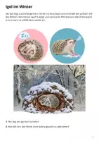 Vorschau - Präsentationen/Tafelbilder - Waldtiere im Herbst und Winter – 18 Bildkarten - Seite 3