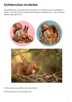 Vorschau - Arbeitsblätter - KOSTENLOS: Eichhörnchen im Herbst und Winter - Seite 2