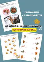 Vorschau - Arbeitsblätter - KOSTENLOS: Eichhörnchen im Herbst und Winter - Deckblatt