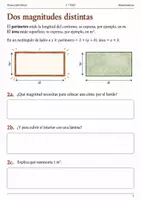 Vista previa - Hojas de trabajo - Perímetro y superficie de un huerto. Cuaderno 1.º ESO - página 1